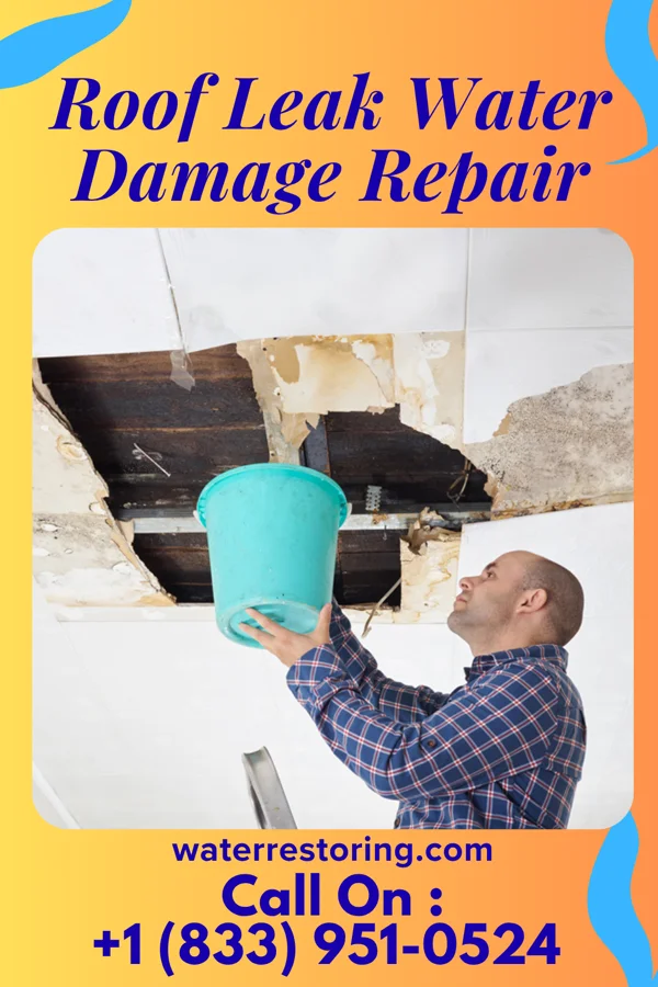 Roof Leak Water Damage Repair in Sunnyside, CA